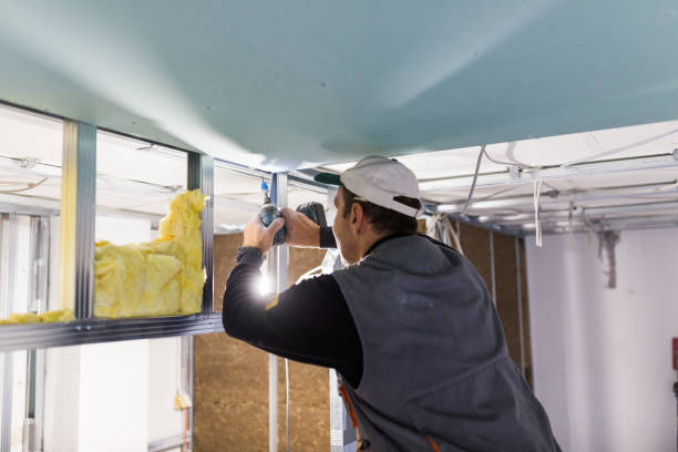 Best Insulation Installation Services in Morrisville, NC