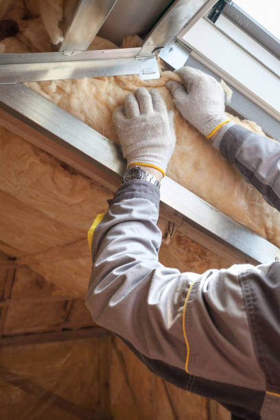 Best Insulation Maintenance and Repair in Morrisville, NC